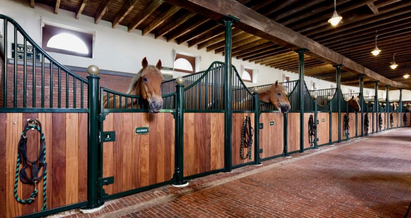 Euro Horse Stalls – Made in Europe  