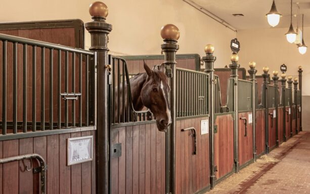 PF993W The Royal Stables in The Hague, South Holland, The Netherlands, open to the public on August 17, 2018..
